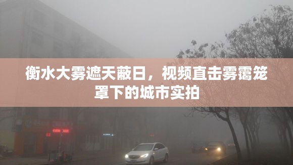 衡水大雾遮天蔽日，视频直击雾霭笼罩下的城市实拍