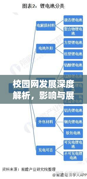 校园网发展深度解析，影响与展望