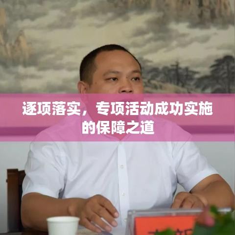 逐项落实，专项活动成功实施的保障之道