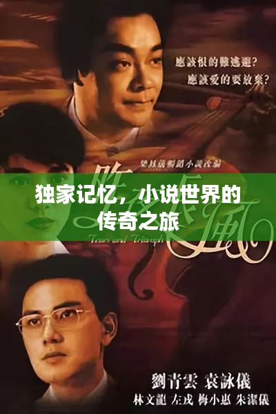 独家记忆，小说世界的传奇之旅