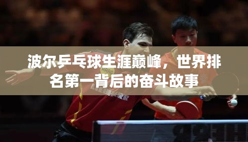 波尔乒乓球生涯巅峰，世界排名第一背后的奋斗故事
