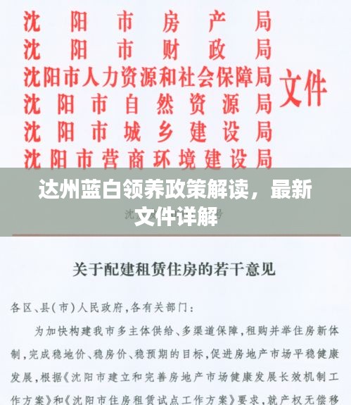 达州蓝白领养政策解读，最新文件详解