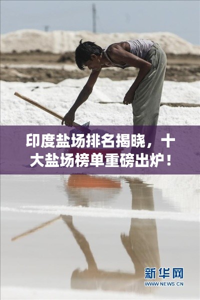印度盐场排名揭晓，十大盐场榜单重磅出炉！