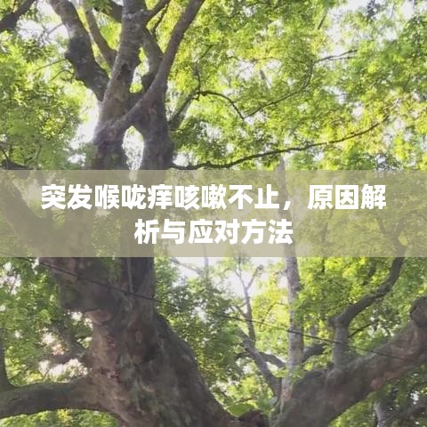 突发喉咙痒咳嗽不止，原因解析与应对方法