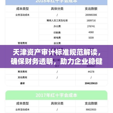 天津资产审计标准规范解读，确保财务透明，助力企业稳健发展