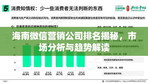 海南微信营销公司排名揭秘，市场分析与趋势解读