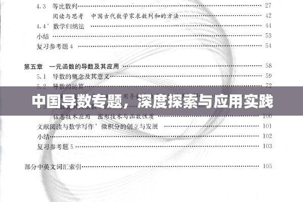 中国导数专题，深度探索与应用实践