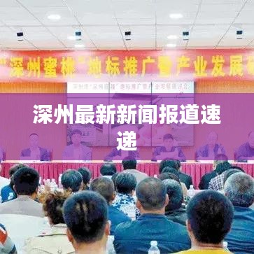 深州最新新闻报道速递