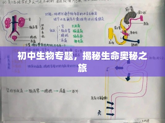 功名富贵