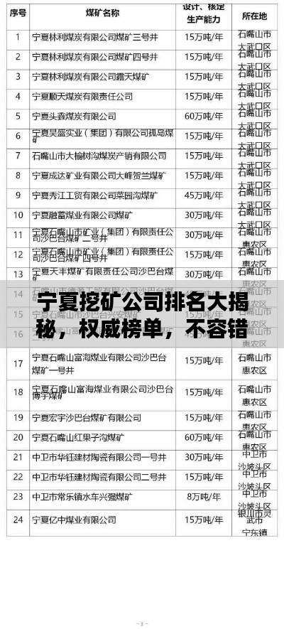 宁夏挖矿公司排名大揭秘，权威榜单，不容错过！