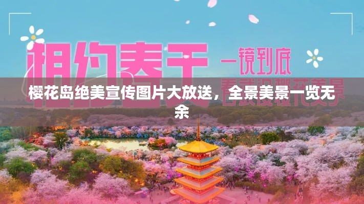 樱花岛绝美宣传图片大放送，全景美景一览无余