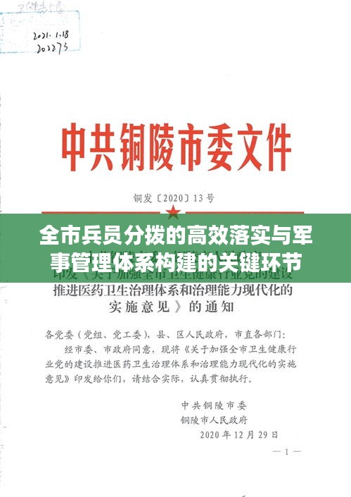 全市兵员分拨的高效落实与军事管理体系构建的关键环节