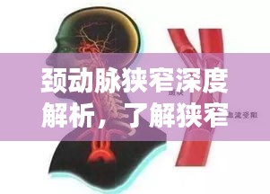 龙飞凤舞