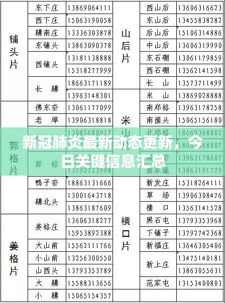 新冠肺炎最新动态更新，今日关键信息汇总