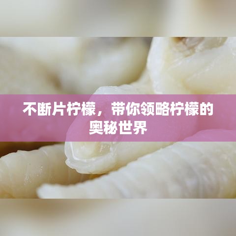 不断片柠檬，带你领略柠檬的奥秘世界